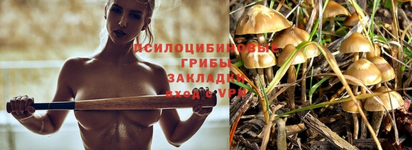 дурь Лагань