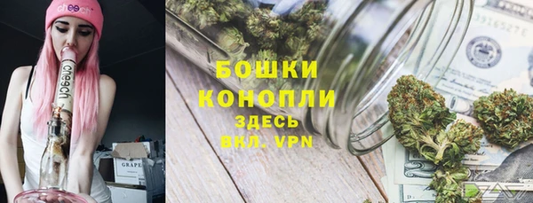 дурь Лагань