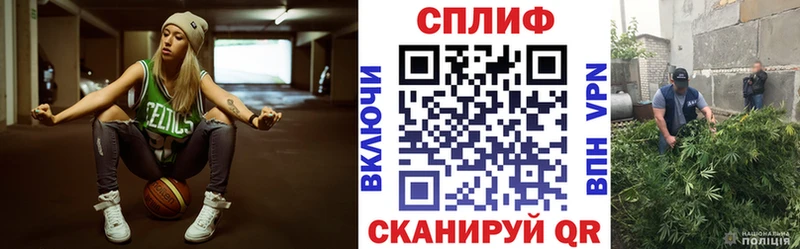 Купить закладки  Лосино-Петровский  Конопля марихуана 